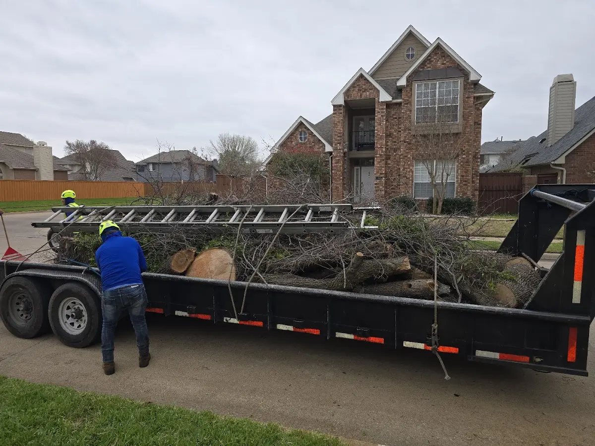 Expert Tree Pest Control with proper safety equipment in Cadillac